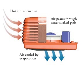 Reverse Cycle Air Conditioners